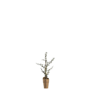 Pinea LED fir tree H60 cm. green