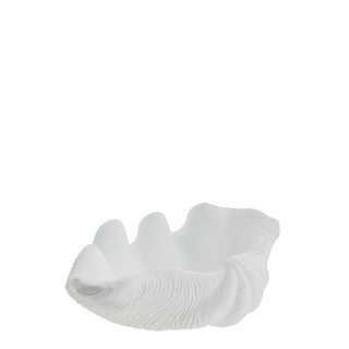 Shella mussel bowl 32x21 cm. white white