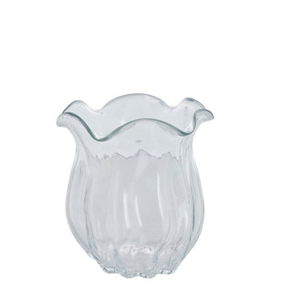 Scarlett vase transparent D20 H20